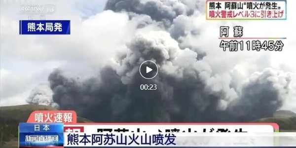 半导体-芯片-芯片供应商-狼群视频在线观看www电子